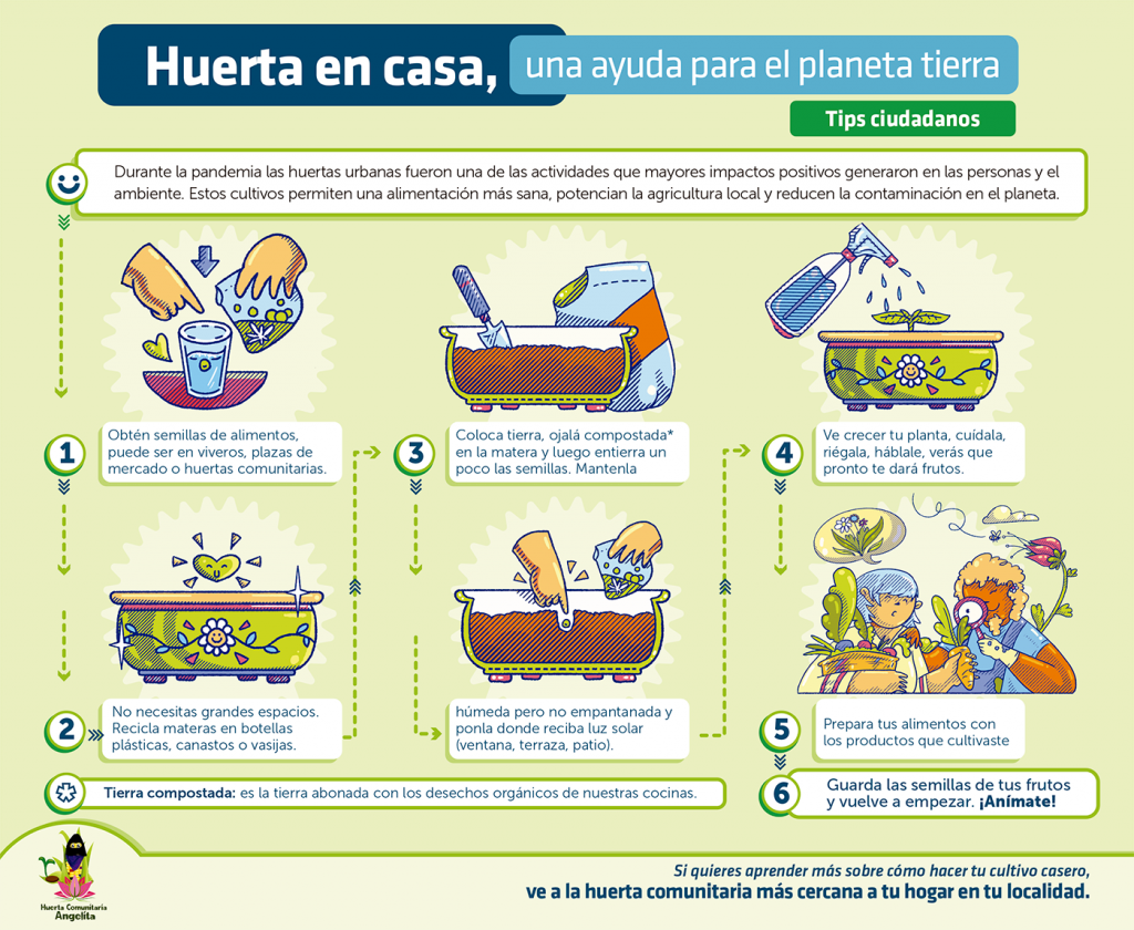 Cómo hacer una huerta en casa