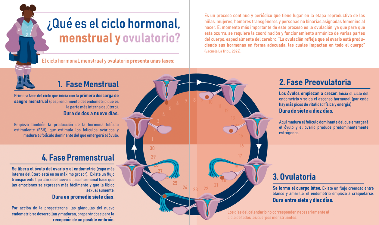 Nuestro ciclo del cuidado menstrual